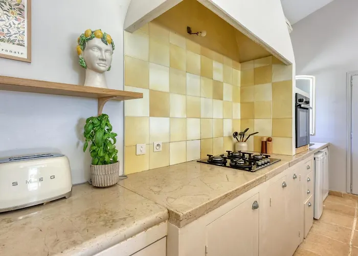 Beautiful Provencal House With Swimming Pool Ollioules